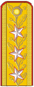 Файл:RO-Army-OF8.png