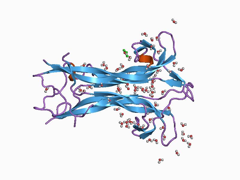 Файл:PDB 1bnd EBI.jpg