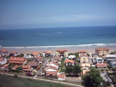 Файл:Ribesella.jpg