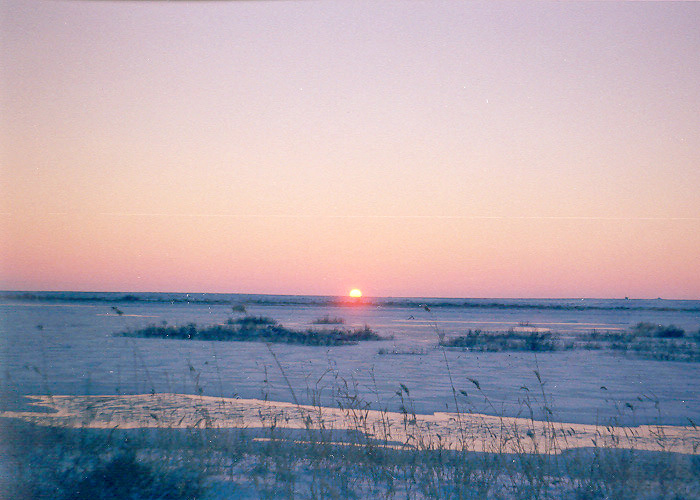 Файл:Syr29.jpg