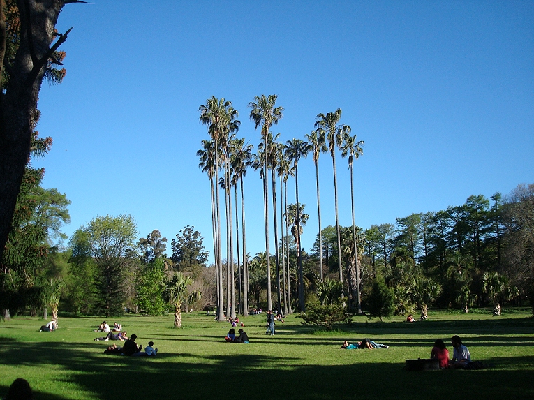 Файл:BotanicGardenPrado.jpg