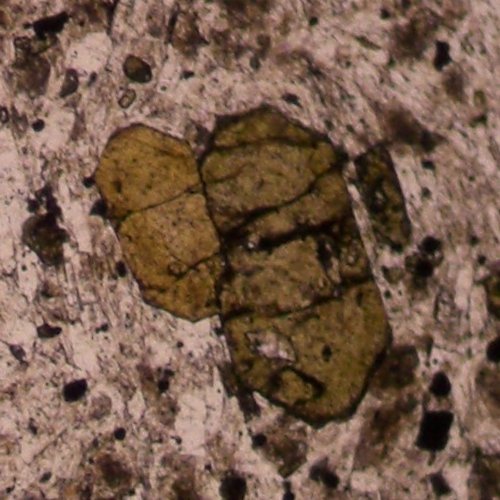 Файл:Trachyte-micro ausschnitt.jpg