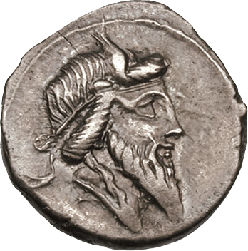 Файл:Mutinus Titinus.png