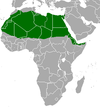 Файл:Gazella dorcas map.png