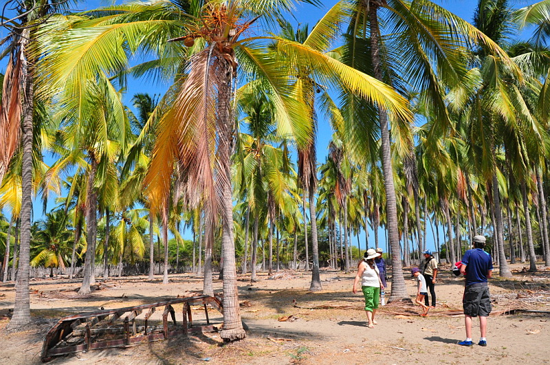 Файл:Islapuná.jpg