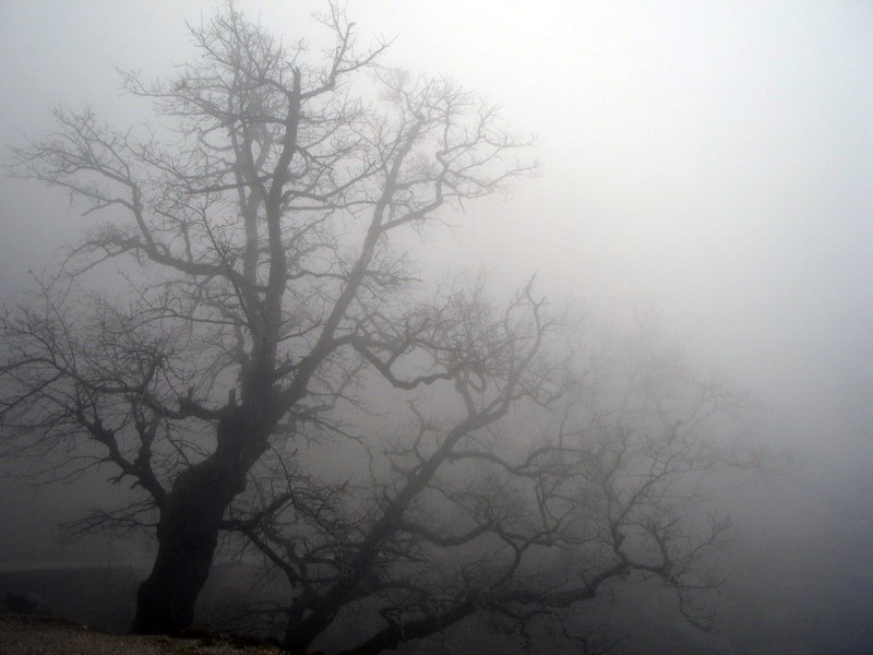 Файл:Fog.jpg