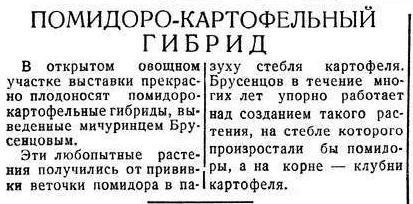 Файл:Pomato1940.jpg