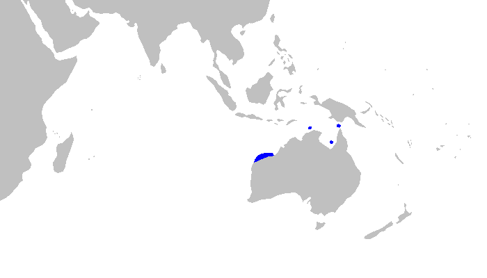 Файл:Atelomycterus fasciatus distmap.png
