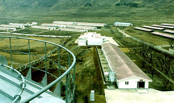 Файл:Granja de Pollos Hungju.jpg