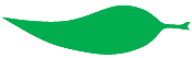 Файл:Leaf morphology falcate.png