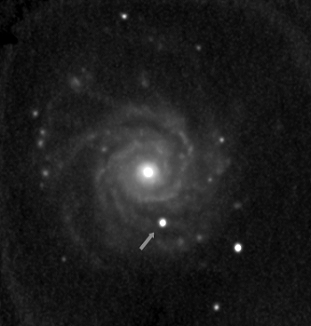 Файл:NGC 3938 SN 2005ay.jpg