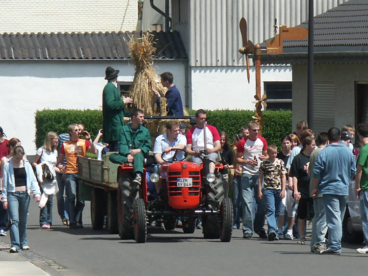 Файл:Neuerkirch-Strohbaer01.jpg
