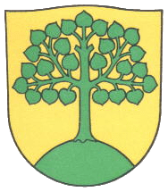 Файл:Neuheim-Blazono.png