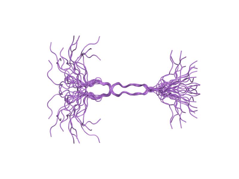 Файл:PDB 1ejp EBI.jpg