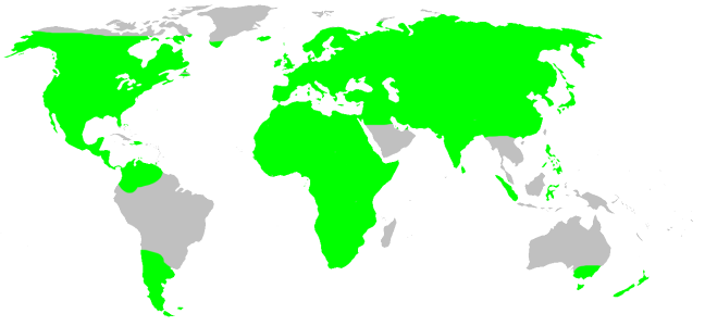 Файл:Distribution.hahniidae.1.png