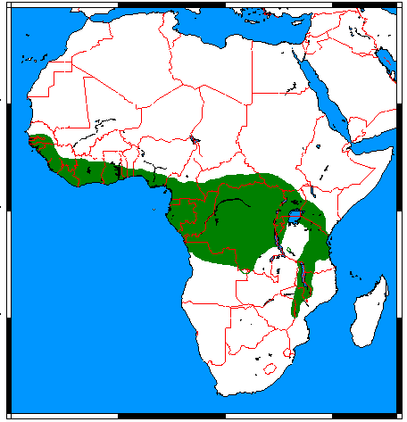 Файл:Nandinia binotata range map.png