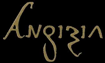 Файл:C1a angizia-logo.jpg