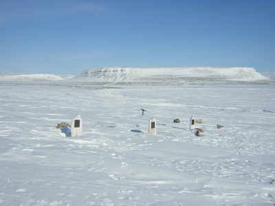 Файл:BeecheyIsland Graves.jpg