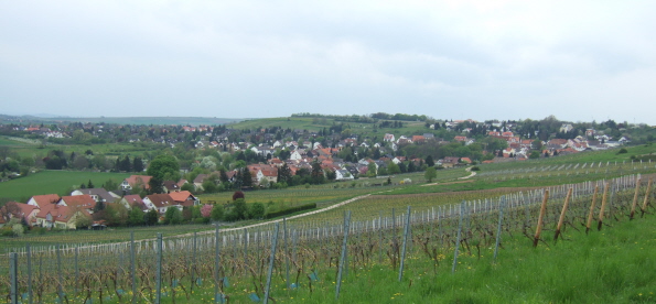 Файл:Gau-Bischofsheim.jpg