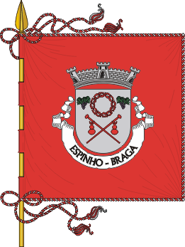 Файл:Pt-brgen1.png