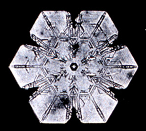 Файл:Snowflake5.png