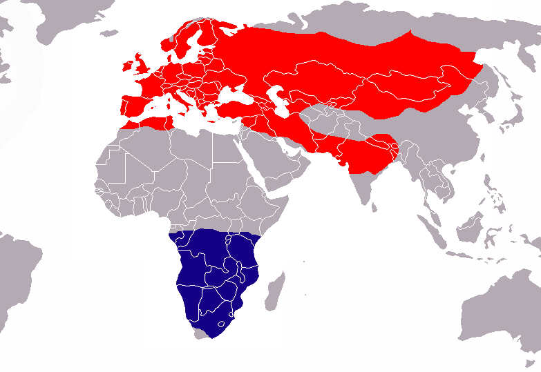 Файл:Apus apus distribution map.png