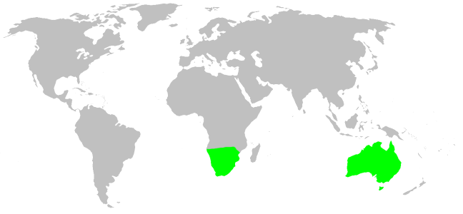 Файл:Distribution.ammoxenidae.1.png