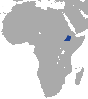Файл:Ethiopian Hare range.png