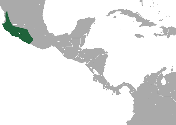Файл:Mexican Shrew area.png