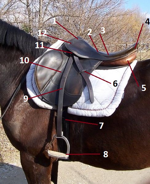 Файл:English saddleparts.jpg