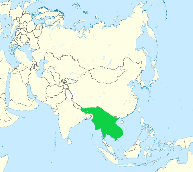 Файл:Coracias affinis dist.png