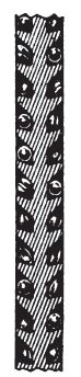 Файл:Disc separator (seed).png