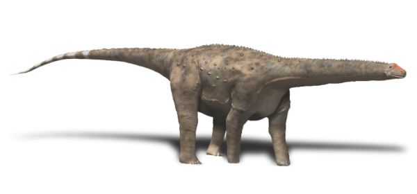 Файл:Hypselosaurus priscus.jpg