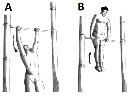 Файл:Muscleup.jpg