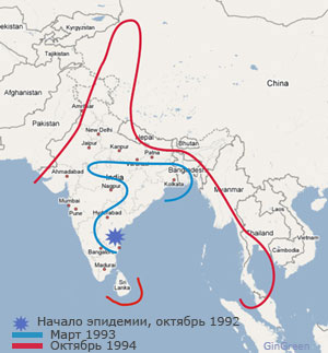 Файл:O139Bengal.jpg
