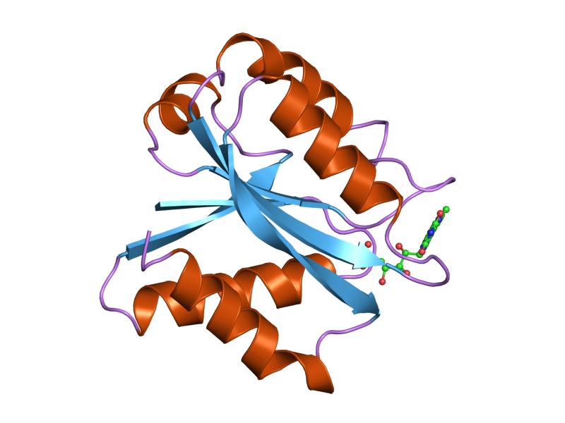 Файл:PDB 3nll EBI.jpg