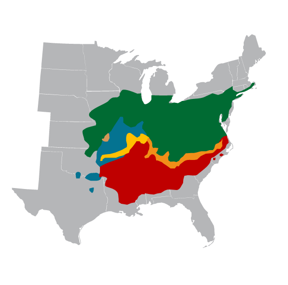 Файл:Distribution magicicada usa..png