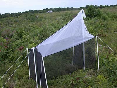 Файл:Malaise trap.jpg