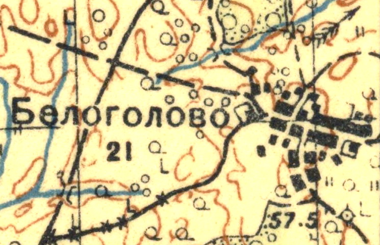 План деревни Белоголово. 1931 год