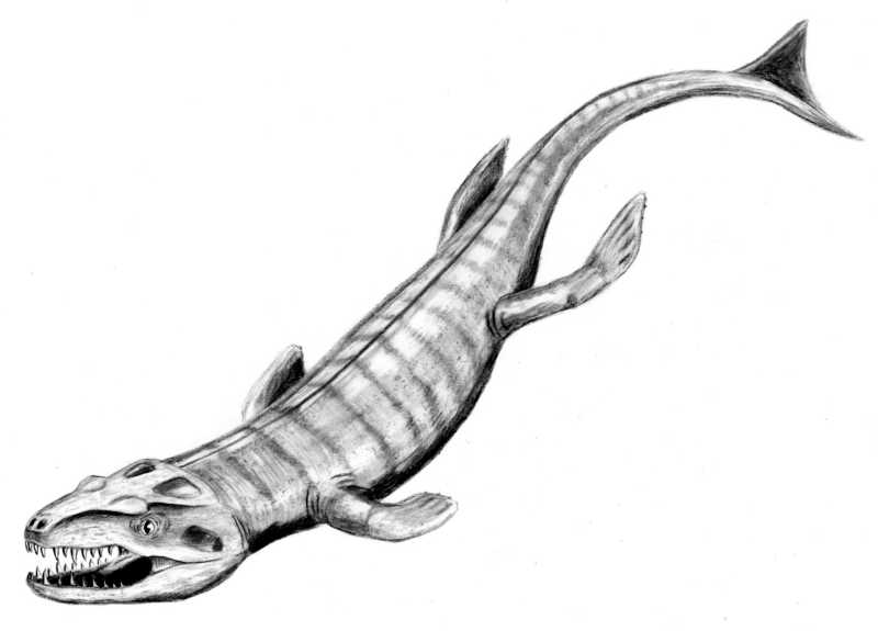 Файл:Dakosaurus BW.jpg