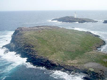 Файл:Grunay.jpg