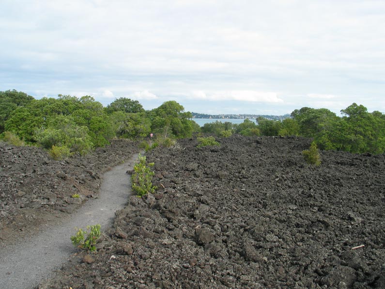 Файл:Rangitotolavapath.jpg