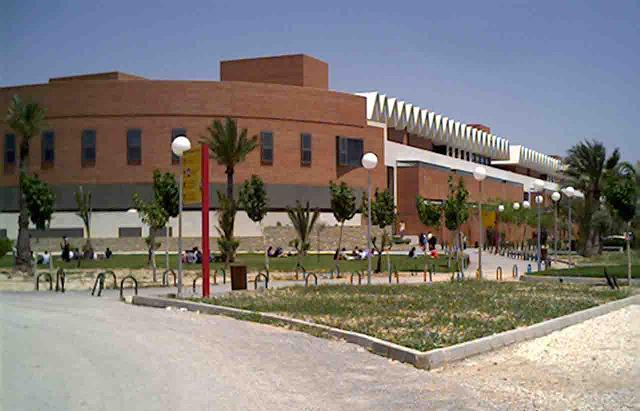 Файл:UMHUniversitat.jpg