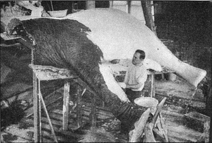 Файл:Carl Akeley works.jpg