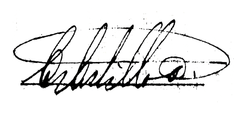 Файл:Castillo Armas Signature.png