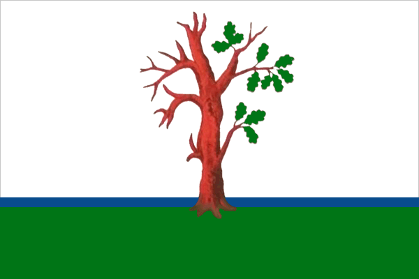 Файл:Flag of Starodub.png
