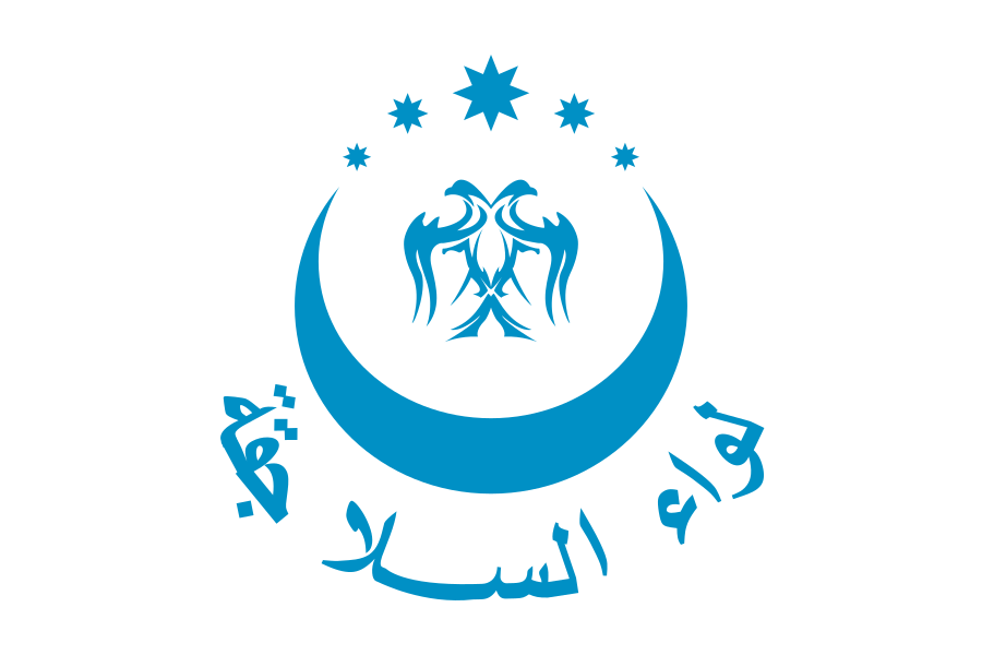 Файл:Flag of the Seljuk Brigade.png