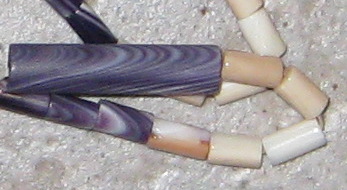 Файл:Wampum ej perry.jpg