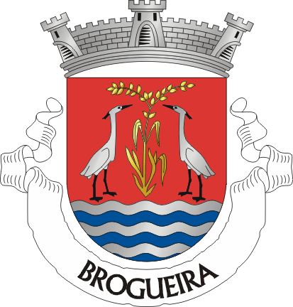 Файл:TNV-brogueira.png