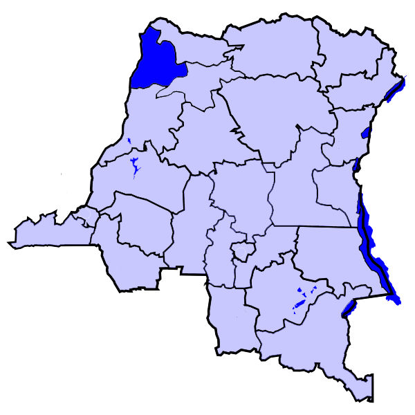 Файл:DCongoSudUbangi.png